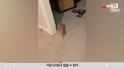 요즘이슈_동물_사랑스러워서 참을 수 없어